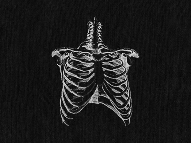 “Ribs” by Lorde: The Anthem of Generation&nbsp;Z